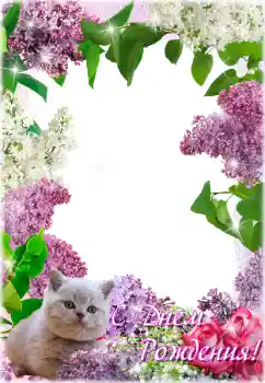 Kategoriyadagi foto effekt Tug'ilgan kun otkritkalari № 205692. Ramka ustidagi yozuv: Tug'ilgan kuningiz muborak bo'lsin! Kategoriyadagi foto effekt Tug'ilgan kun otkritkalari № 205692. Ramka ustidagi yozuv: Tug'ilgan kuningiz muborak bo'lsin!
